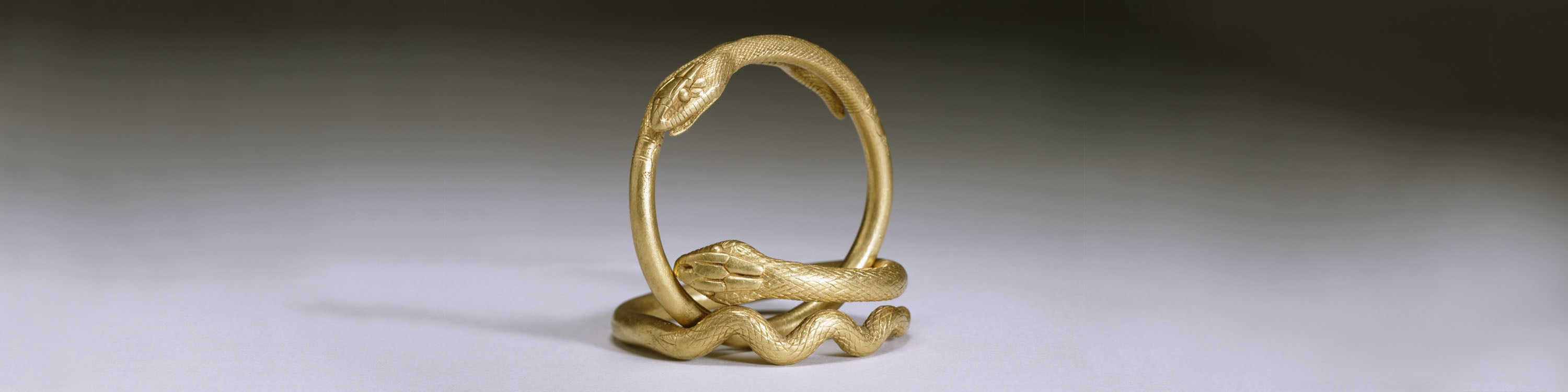 Interlocking gold snake rings